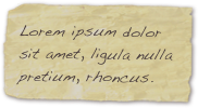 Lorem ipsum dolor sit amet, ligula nulla pretium, rhoncus.